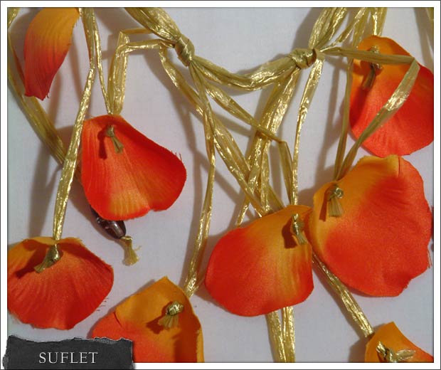 Collana SUFLET, anno 2009