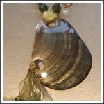 foto collana collezione corpo