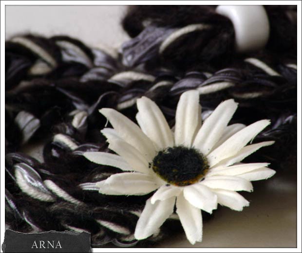 Collana ARNA, anno 2010