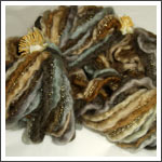 foto collana emozioni