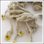 foto collana emozioni