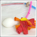 foto collana collezione pianeta terra