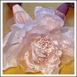 foto collana collezione pianeta terra